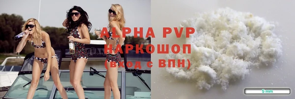 spice Аркадак