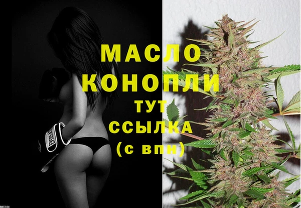 крисы Армянск