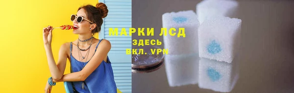 spice Аркадак